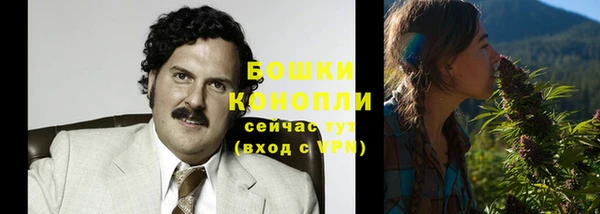 амф Гусиноозёрск