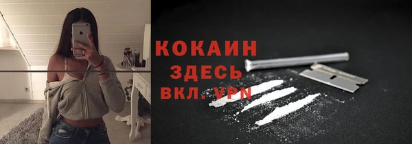 сатива Гусь-Хрустальный