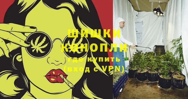 сатива Гусь-Хрустальный