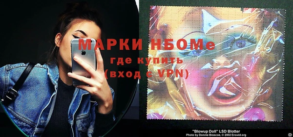 амф Гусиноозёрск