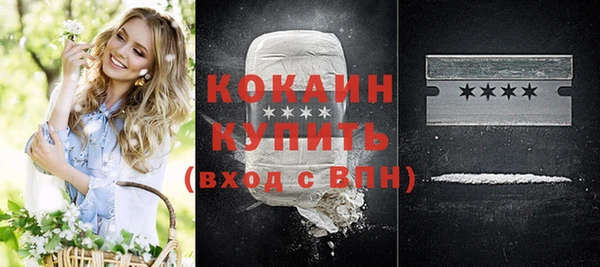 амф Гусиноозёрск