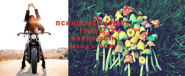 соль курить ск Лабытнанги