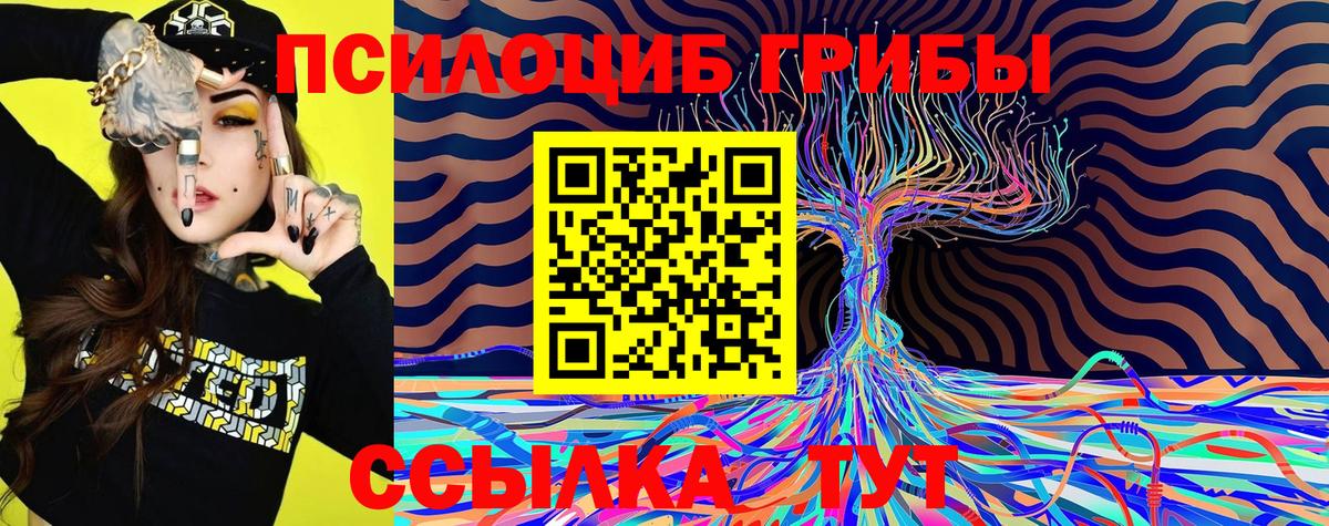Наро-Фоминск  даркнет сайт  Вход с VPN  Псилоцибиновые грибы Cubensis 