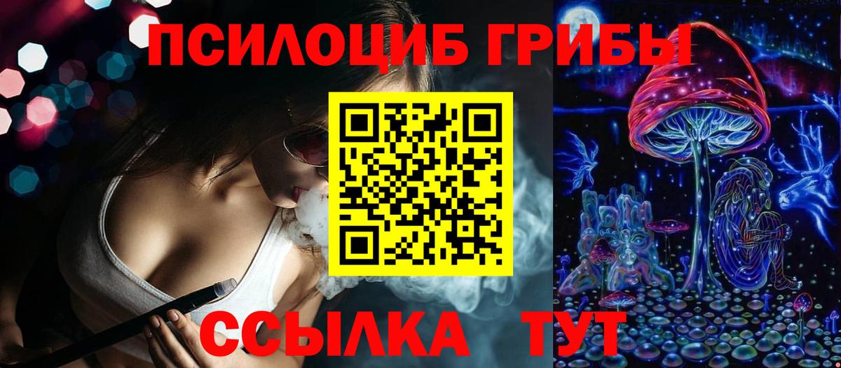 Псилоцибиновые грибы Psilocybe Наро-Фоминск